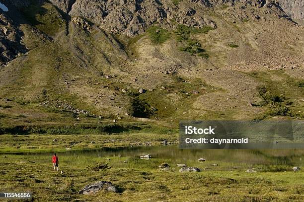 Photo libre de droit de Homme Taille Naine De Paysage banque d'images et plus d'images libres de droit de Adulte - Adulte, Alaska - État américain, Au loin