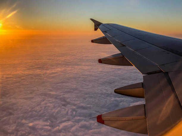 istock Horizon view from airplane during sunset 1155466380