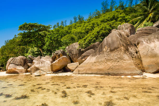 istock The giant granite boulders on the beach 1155468278