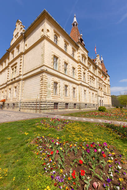 sighisoara city hall - sighisoara romania sunlight day imagens e fotografias de stock