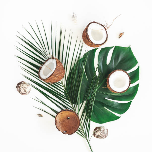 istock Summer composition. Tropical palm leaves, coconut on white background. Summer concept. Flat lay, top view 1155473123