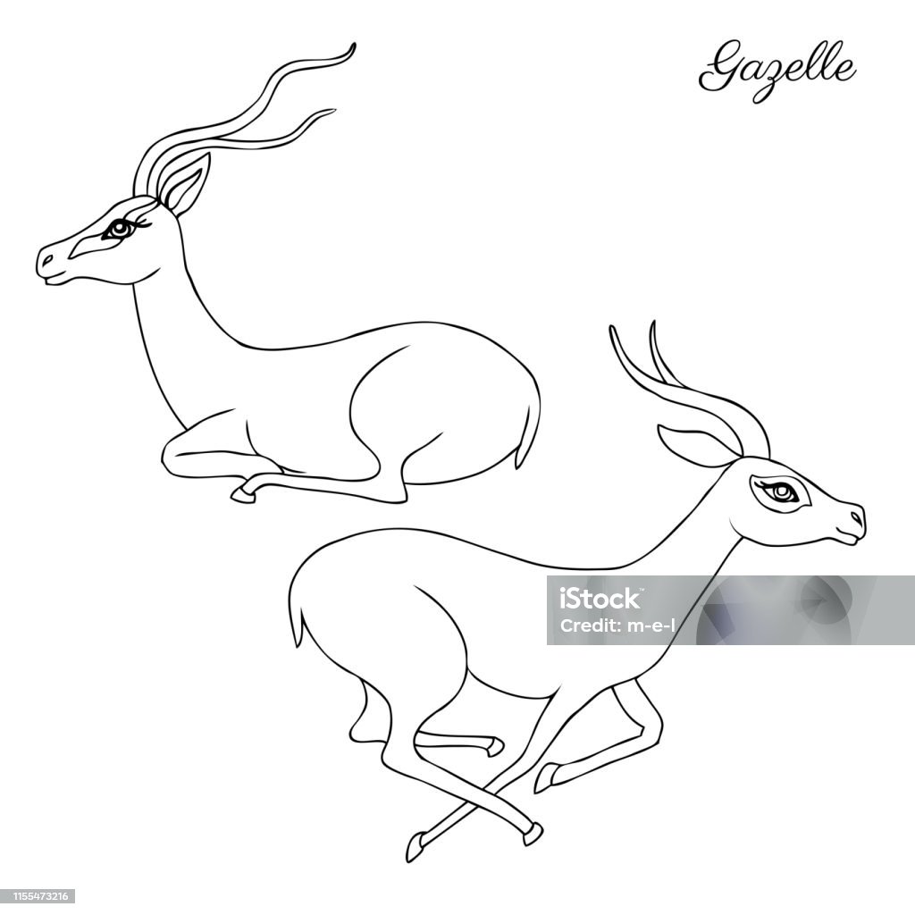 Decorative Gazelle Graphic Hand Drawn Vector Cartoon Doodle Animal  Illustration Running And Sitting African Safari Antelope With Curved Horns  Isolated On White Background Line Art For Design Card Stock Illustration -  Download