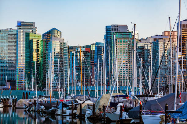 istock Downtown Vancouver and Coal Harbor view from Stanley park 1155473795