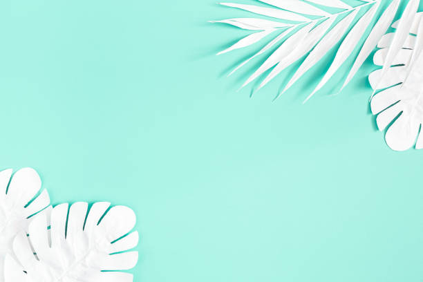 istock Summer composition. White palm leaves on mint background. Summer concept. Flat lay, top view, copy space 1155475049