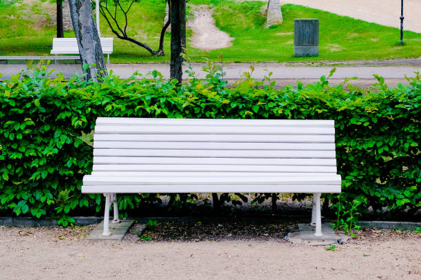 single white wooden park bench