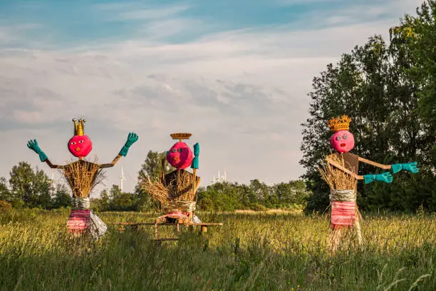 Three scarecrows in a meadow