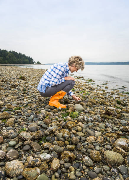 istock Beautiful, active, healthy middle aged mature woman enjoying exploring nature beachcombing on a rocky beach 1155484464