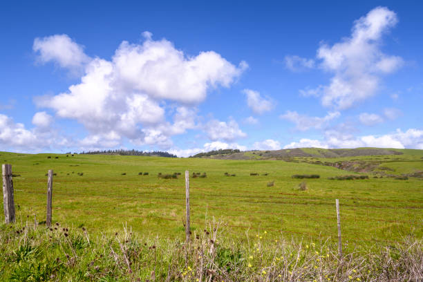 Wide Fields with Clean Sky on a Sunny Day