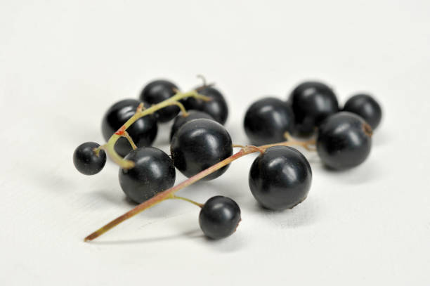 istock A bunch of black currant berries on a light background. 1155489743