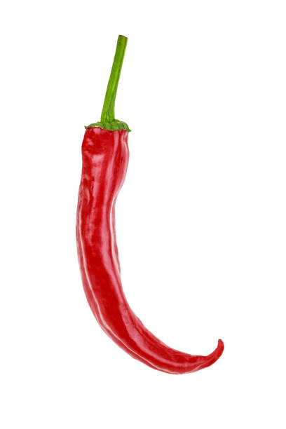 istock one hot red jalapeno pepper on white background 1155490941