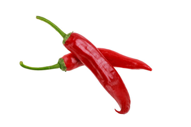 istock two hot red jalapeno peppers on white background 1155491027