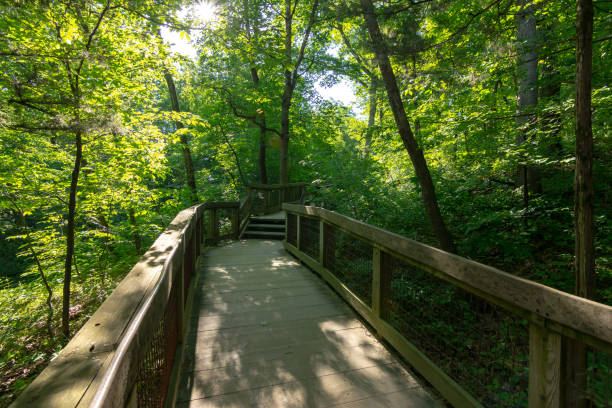 istock Wooden pathway through Starved Rock 1155492456