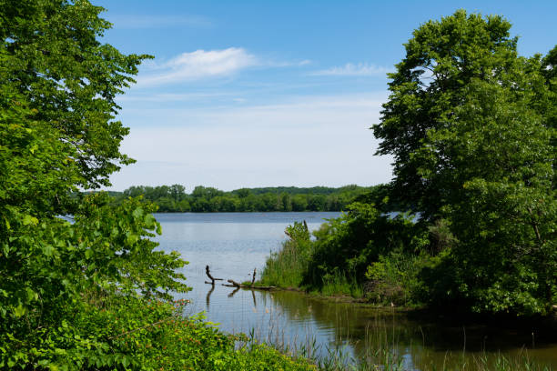 View of the Illinois River
