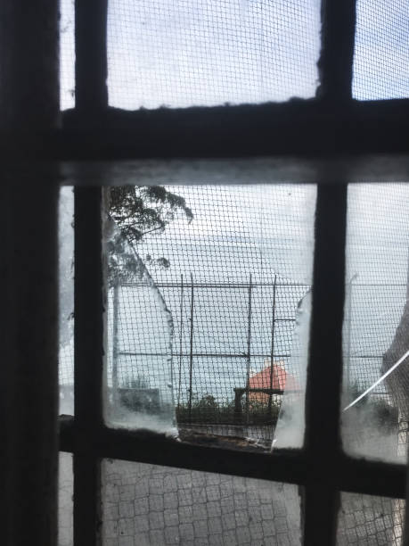 istock looking at the windows in a cloudy day 1155495882