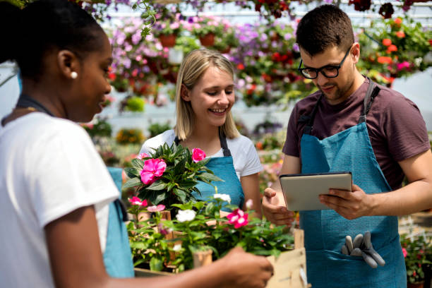 istock Working in a garden center 1155496116