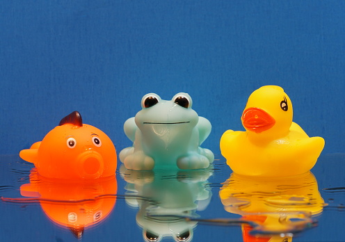 Three rubber bath toys fish frog duck on a wet mirror on a bright blue background