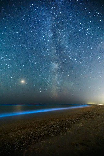 Long exposure shot of glowing plankton on sea surf and milky way. Blue bioluminescent glow of water under the starry sky. Bright Mars planet among constellations in night sky. Rear nature phenomenon.
