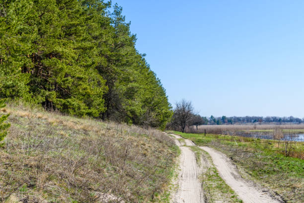 istock Dirt road near the forest on early spring 1155500698