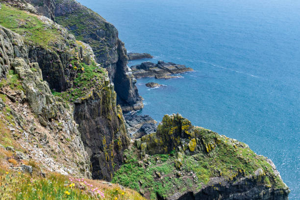 istock View of a cliff face  in Anglesey 1155500932