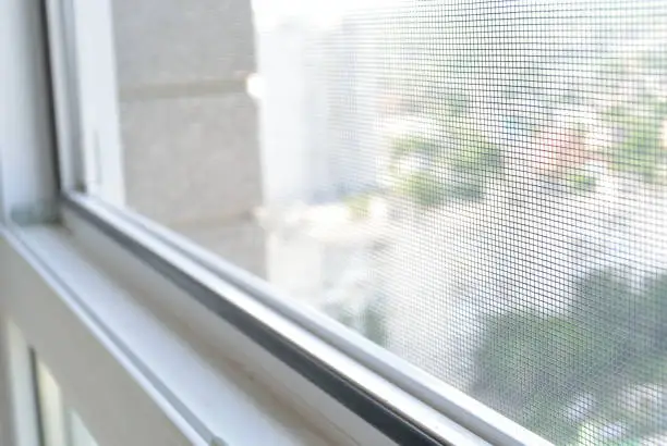 mosquito net on the window