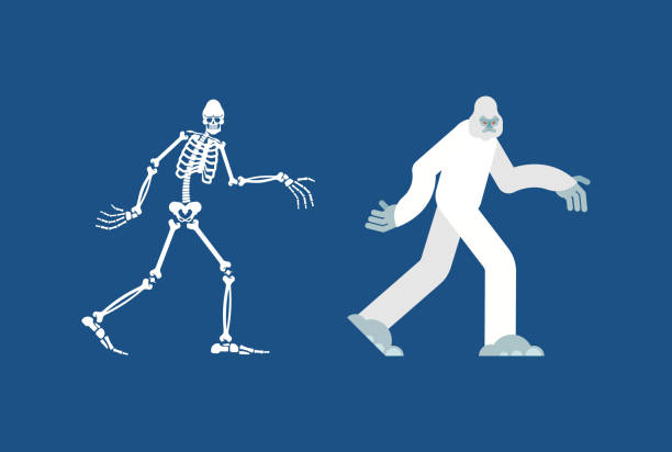 istock Yeti skeleton islated. Bigfoot skull and bones. Abominable snowman. sasquatch Remains 1155503556