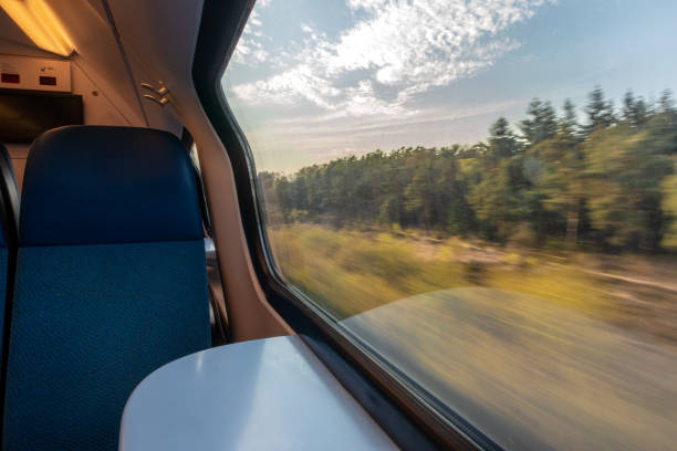 Forest train point of view with speed