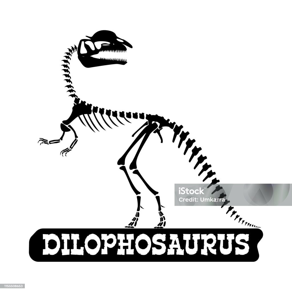 Bộ Xương Khủng Long Dilophosaurus Hình Bóng Trên Nền Bị Cô Lập ...