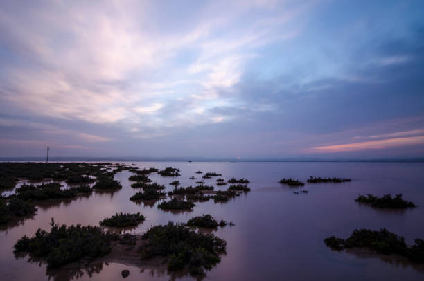 istock Salinas de Torrevieja, Alicante (Spain) 1155511617