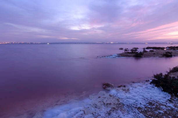 istock Salinas de Torrevieja, Alicante (Spain) 1155511652