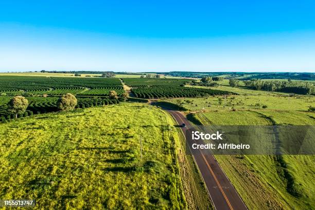 Aerial View Of Country Road Pasture And Coffee Field In Sao Paulo State Brazil Stock Photo - Download Image Now