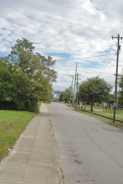 istock Suburban street 1155514052