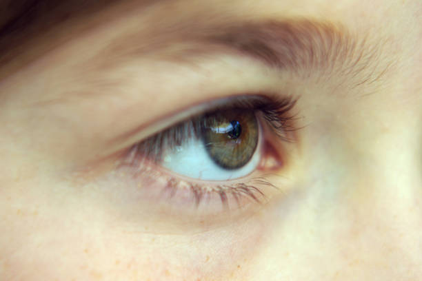 istock close up green eye 1155514160