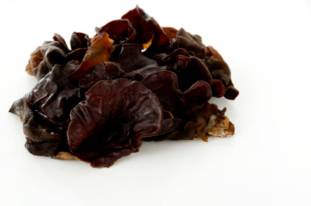 istock Jew's ear mushroom on white background 1155515148