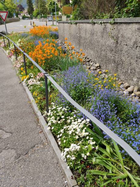 istock Street garden 1155516005