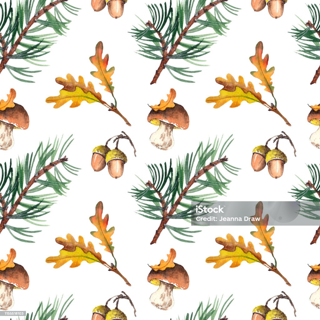 Seamless pattern with pine branches, mushrooms, acorns and oak leaves. Seamless pattern with pine branches, mushrooms, acorns and oak leaves. Forest illustration. Watercolor on white background. Abstract stock illustration
