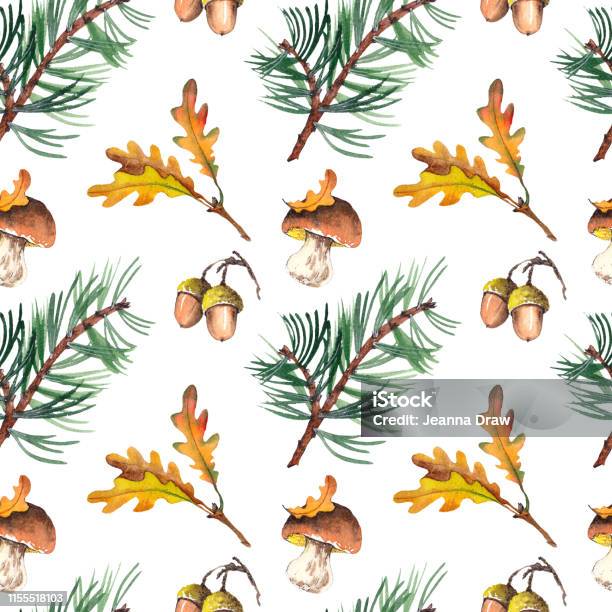 Seamless Pattern With Pine Branches Mushrooms Acorns And Oak Leaves Stock Illustration - Download Image Now