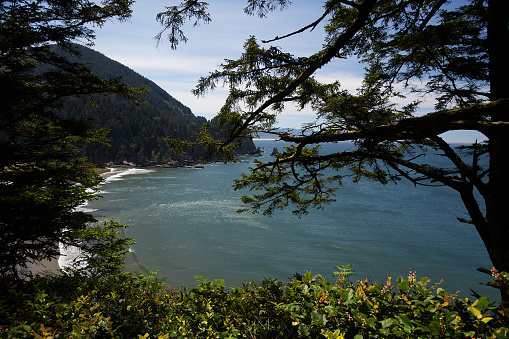 Smugglers Cove from Cape Falcon Trail in Oswald West Oregon State Park  3981