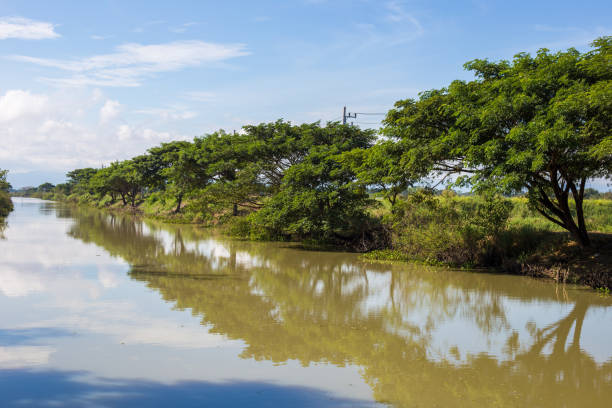 istock River and blue sky nature landscape serenity 1155532981