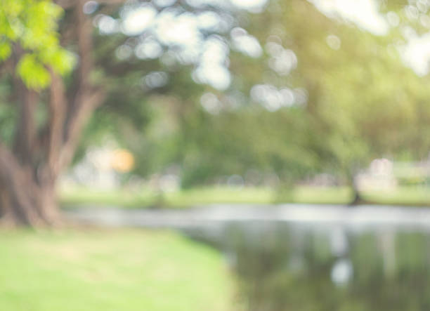 abstract blur green park in spring outdoor background concept for blurry beautiful nature field, horizon autumn meadow scene, eco environment day in summer blossom. - photography nature rural scene full frame imagens e fotografias de stock