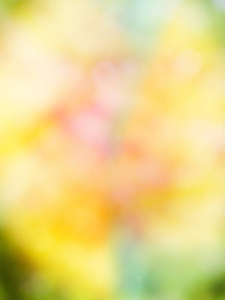 istock Abstract background of forest bokeh, missed focus 1155537691