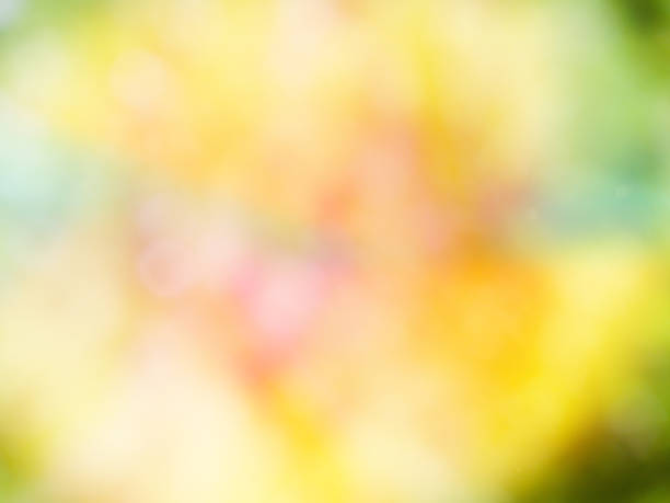 istock Abstract background of forest bokeh, missed focus 1155537700