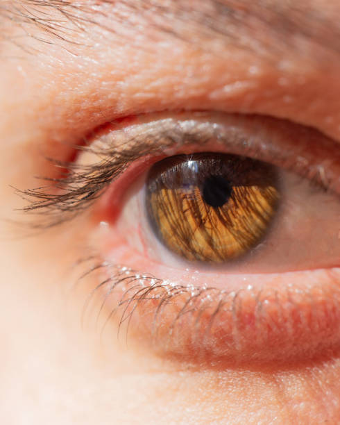 istock Macro of a woman's eye 1155546950