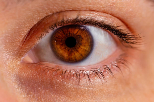 istock Macro of a woman's eye 1155546962
