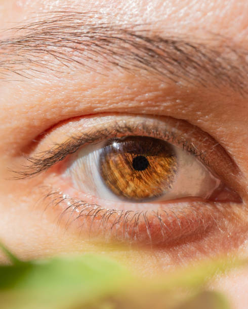 istock Macro of a woman's eye 1155546984
