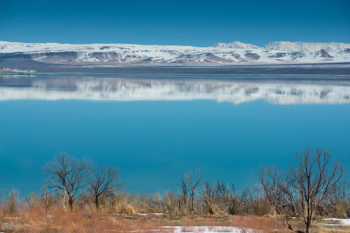 Mono Lake, Desert, Meadow, Springtime, Water