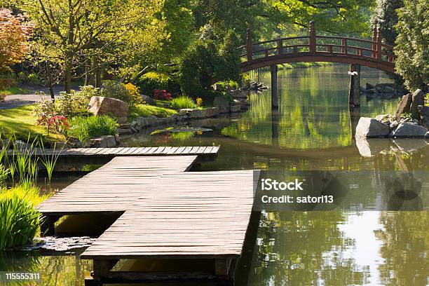 日本庭園 - 日本庭園のストックフォトや画像を多数ご用意 - 日本庭園, 花, カエデ