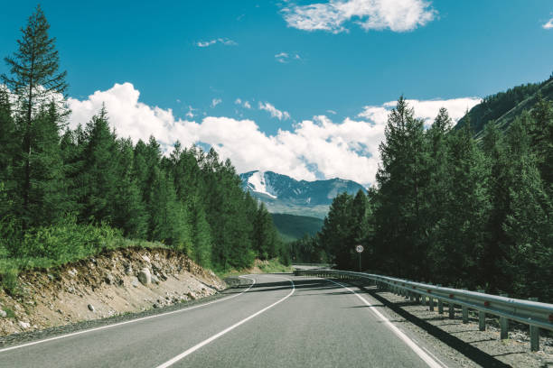 istock highway in the mountains among the trees. 1155557960