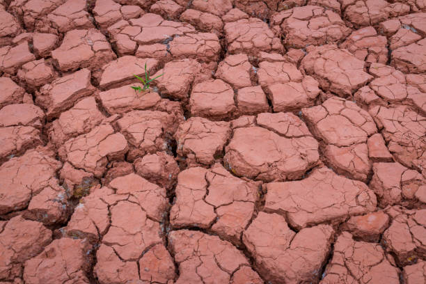 istock Desert red dry and thirsty soil crack 1155559505