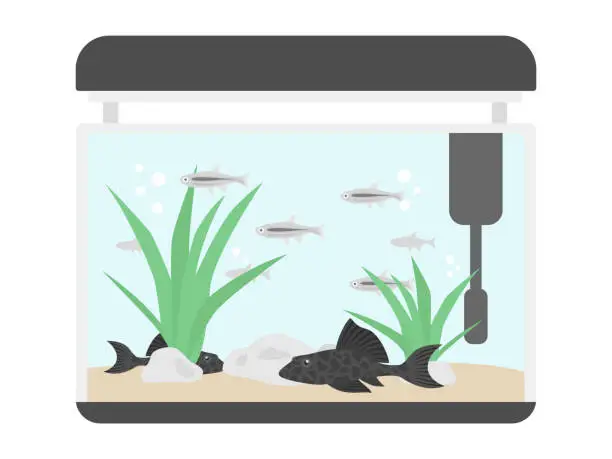Vector illustration of tropical fish
