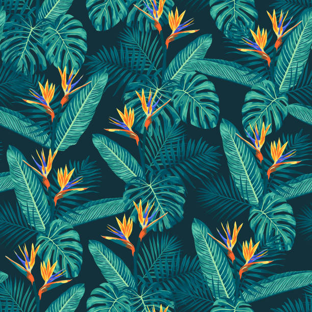 illustrazioni stock, clip art, cartoni animati e icone di tendenza di modello tropicale uccello del paradiso - palm leaf frond leaf backgrounds